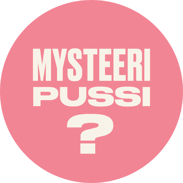 Mystery Bag