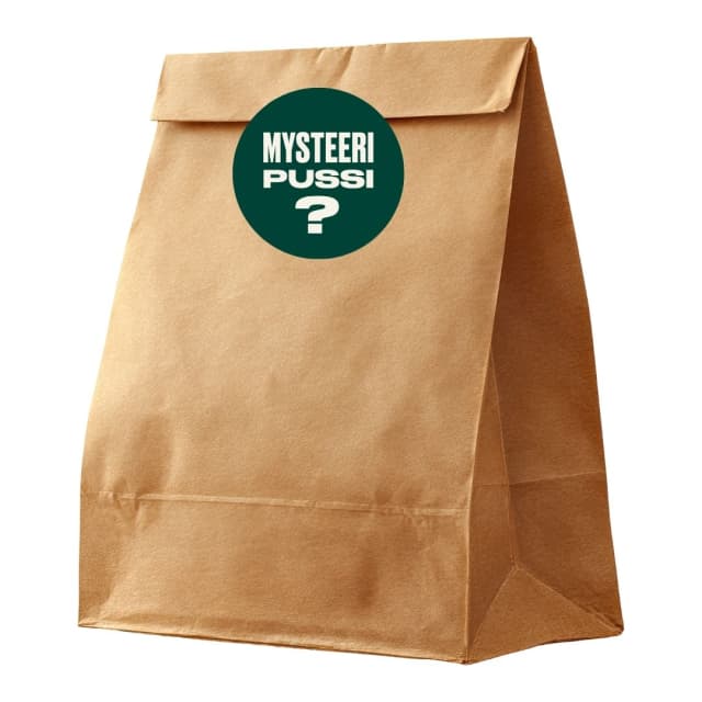 Mystery Bag