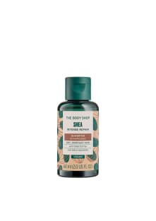 Shea Intense Repair Shampoo