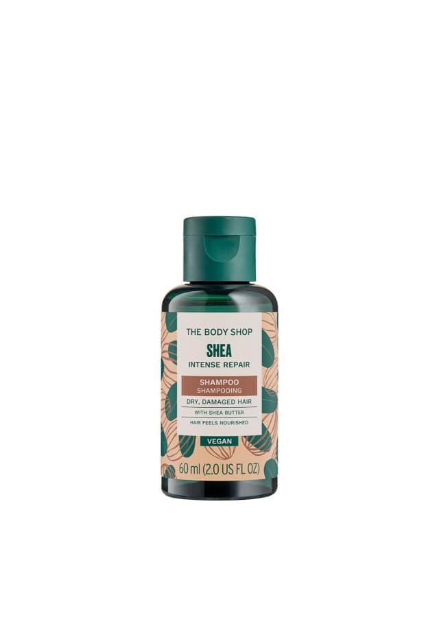 Shea Intense Repair Shampoo