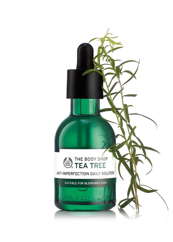 5_DAILY_SOLUTION_TEA_TREE