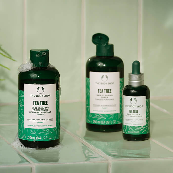 0824_square_TeaTree_range
