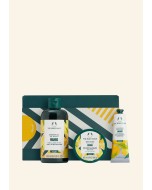 Mango Essentials