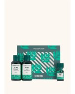 Tea Tree Intro